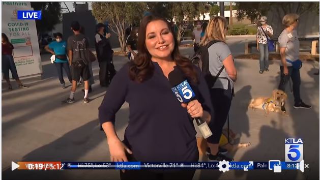 a video screen shot shows a news reporter standing outside holding a microphone. People are in the background along with a GDB puppy in training.
