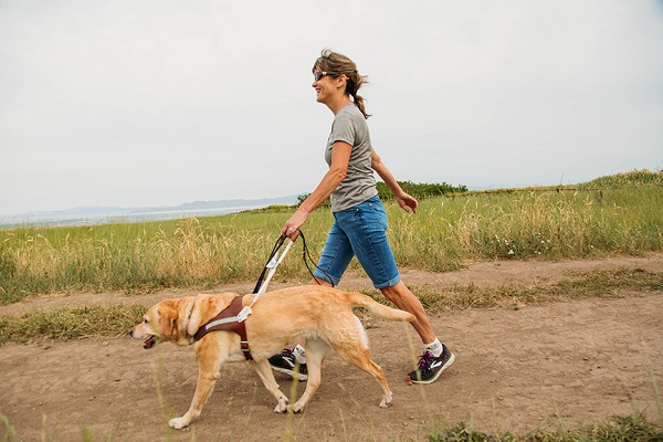 Becky Andrews walks on a waterfront path with her yellow Lab guide dog.