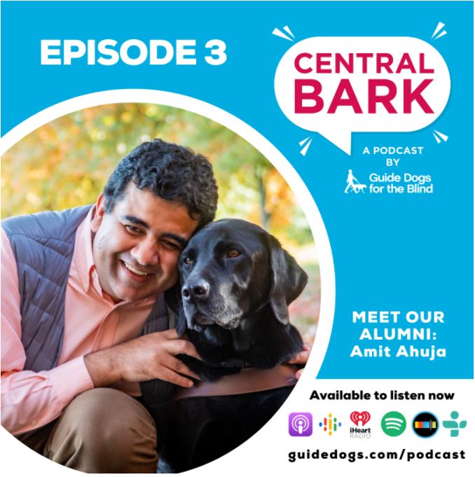 Central Bark podcast cover art featuring GDB grad and board member Amit Ahuja and his black Lab guide dog.