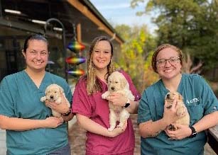 Three Canine Welfare/Neonatal team members stand outside the Puppy Center. They are wearing scrubs and each is holding a young yellow Lab puppy.